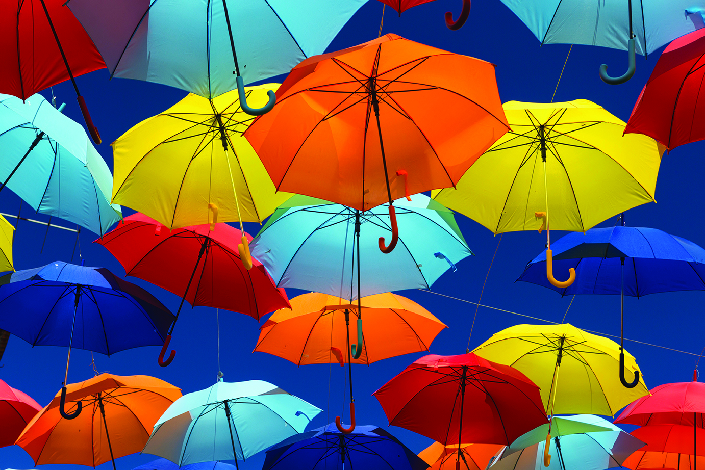 shutterstock 148092881 72dpi